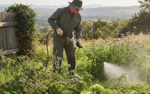 Un jardinier appliquant un désherbant dans un jardin avec des mauvaises herbes visibles.